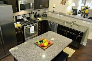 Peak Suites kitchen with island counter top, dark cabinets, and stainless steel appliances