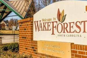 Wake Forest brick sign